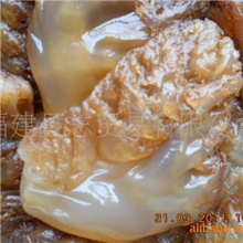 优质海蜇价格可以面议