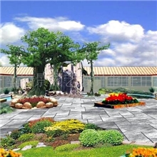 供应济南仿真榕树价格、济南椰子树哪家做的好、樱花树报价、