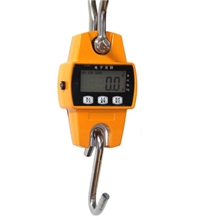 供应20KG-300KG掌上型电子吊秤电子秤