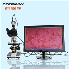 科视威厂家直供可放大40X-1600X可拍照打印三目生物显微镜