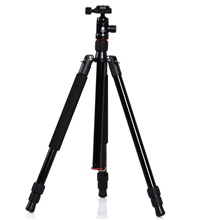缔峰特价款脚架单反相机3节脚架D-253＋B-22【12个起批发价】