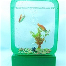 亚克力制品生态水族箱精品迷你鱼缸工艺观赏鱼缸鱼缸水族箱