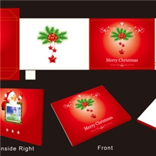 厂家供应节日卡，圣诞卡，音乐卡，视频卡，广告贺卡，商业贺卡！