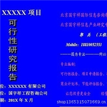 洁厕灵项目可行性研究报告
