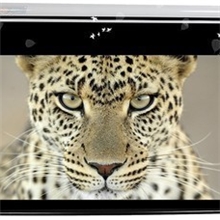 影辉银幕YH-HC02100寸16:9高清玻纤电动遥控幕支持3D批发