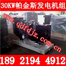 原装帕金斯动力国际品质工厂直销出口型30KW帕金斯柴油发电机组