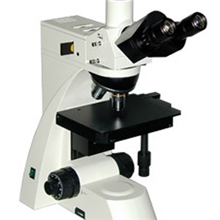 TL3003正置金相显微镜