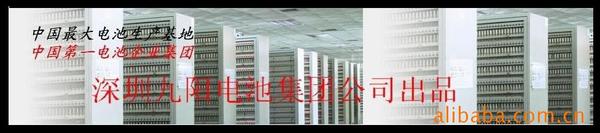 suncn九阳电池巨人电池乐扣电池好用便宜