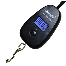 厂家批发光宇电子手提称，电子手提秤，电子秤，电子称，迷你称