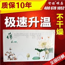 智诺D超节能碳晶墙暖画墙暖电暖气取暖器碳纤维电热膜电暖器电暖