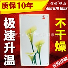 智诺超节能碳晶墙暖远红外加热电暖器碳纤维电暖气壁挂碳晶墙暖