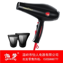 【厂家直销】怡梦YM-66132600W大功率吹风机专业电吹风送风嘴