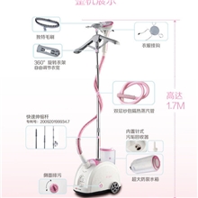 正品华光挂烫机QY36-D熨烫机熨衣机蒸汽挂烫批发拿样礼品团购包邮