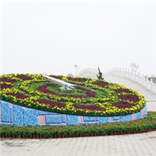 济南康巴丝钟表供应景观钟花坛钟