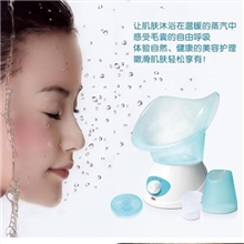 蒸汽美容仪器家用喷雾机面部香薰桑拿蒸脸器洗脸机A501
