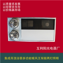 促销大量批发集成吊顶浴霸多功能暖风王双核两灯照明直销