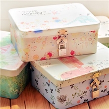 Q21清新物语带锁收纳铁盒桌面收纳整理储物盒半岛铁盒中号