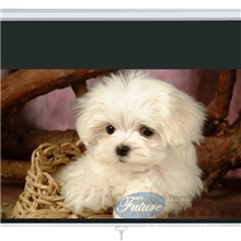 钻石投影幕133寸16:9手动幕自锁白塑投影机幕布投影仪幕布