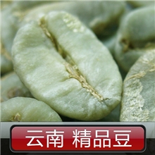 供应云南高山当季保山咖啡生豆小粒种精品生咖啡豆子