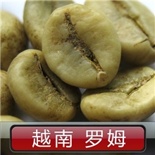 供应越南罗巴斯塔咖啡生豆生咖啡豆子诚招经销代理