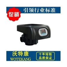 润新阀F74A3，顺流，自动流量型软化阀