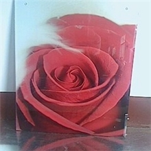 供应碳纤维远红外电暖器