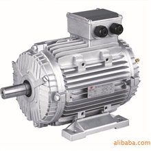 MSW耐高温高湿三相异步电机