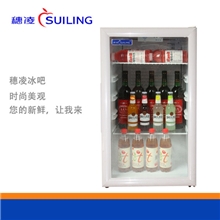 立式冷藏展示柜穗凌LG4-120小冷柜冰柜迷你保鲜冰吧冰箱家用