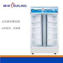穗凌立式LG4-488M2F冷柜商用冷藏保鲜展示柜对开玻璃门餐饮熟食