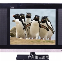 厂家供应全新19寸LED显示器1280*1024时尚金色液晶电视显示器