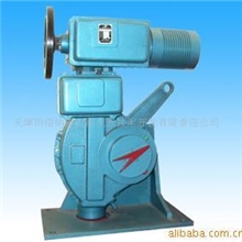 角行程电动执行器、电动执行机构