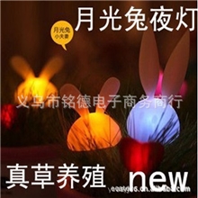 陶瓷月光兔小夜灯情侣兔光控节能灯真草种植浪漫礼物创意礼品
