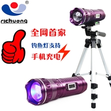 日创正品新款蓝光钓鱼灯夜钓灯5W双光源充电6档变焦钓鱼灯看漂灯