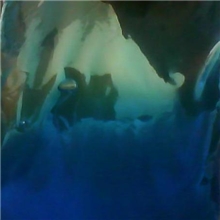 供应生物冰袋深圳生物冰袋