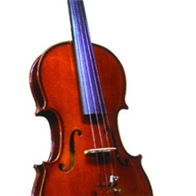 江苏泰兴供应小提琴