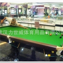 定制办公用品花式台球桌美式台球桌家用台球桌SX003-C