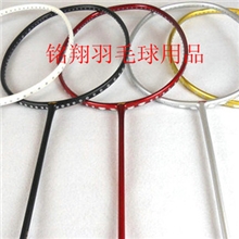 羽毛球拍国家队训练拍全碳素4U训练拍
