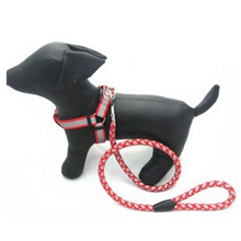 宠爱有佳宠物用品反光涤纶宠物牵引绳+胸背带套装狗狗牵引带