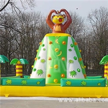 攀岩蹦床厂家热卖