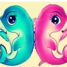 厂家直销！氢气球太空气球升空气球铝膜双鱼