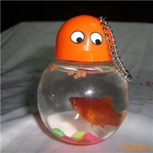 供应QQ鱼瓶。迷你小鱼缸。斗鱼杯。鱼缸。龟瓶