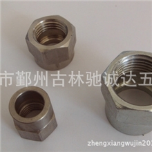 厂家直销紧固件螺母紧固件连接件宁波紧固件