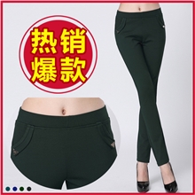 厂家直销秋冬新款铅笔裤长裤女休闲裤爆款韩版修身弹力大码小脚裤