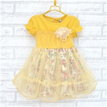 夏装新款淑女款，碎花纱裙连衣裙批发厂家直销童装批发#763