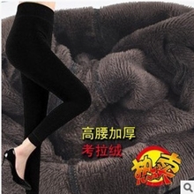 2013冬款女装加绒加厚保暖裤无缝一体裤考拉绒踩脚打底裤