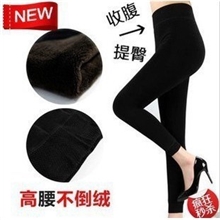 加绒加厚保暖裤九分裤大码一体打底裤珍珠绒考拉绒打底裤批发