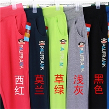 厂家直销韩版运动小脚裤秋季新款长裤糖果色休闲裤哈伦裤女