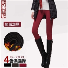 厂家直销秋冬新款加绒加厚打底小脚裤铅笔裤大码女装休闲长裤女裤