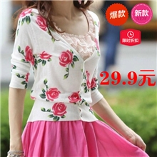 2013秋装新款蝴蝶玫瑰印花休闲可爱百搭女式印花开衫针织衫