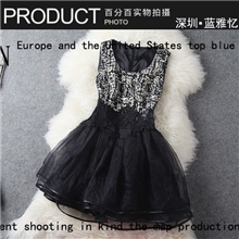 女装2013秋款欧美大牌复古欧根纱重工刺绣修身连衣裙背心裙T791